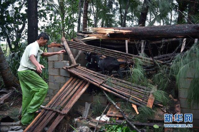 Bão Sarika với gió giật cấp 14 gây nhiều thiệt hại ở Trung Quốc ảnh 7